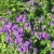 20180521_075748.jpg