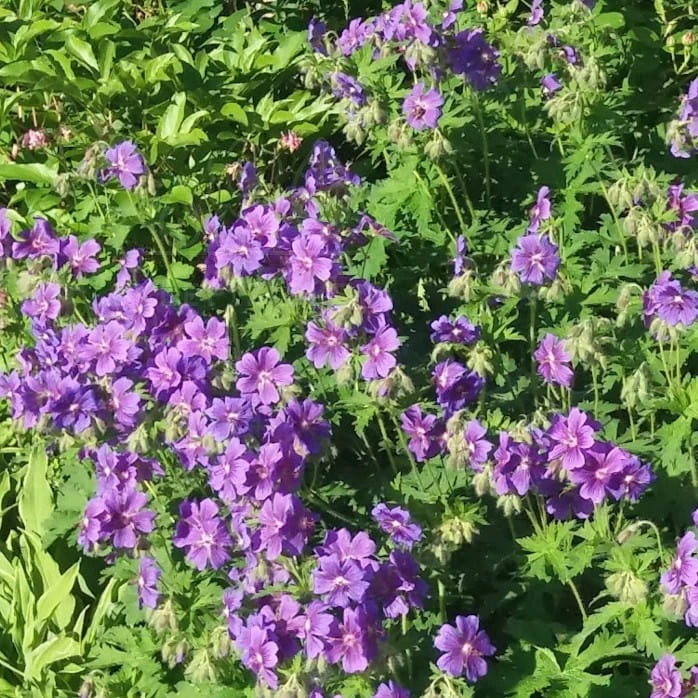 20180521_075748.jpg