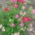 20180828_165359.jpg