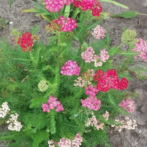 20180828_165359.jpg